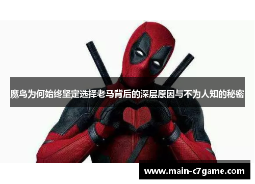 魔鸟为何始终坚定选择老马背后的深层原因与不为人知的秘密